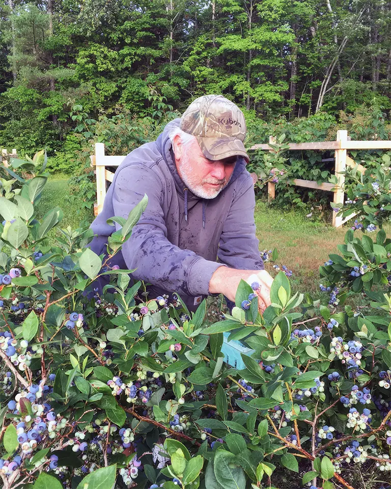 Blackberry Creek - Around the Farm