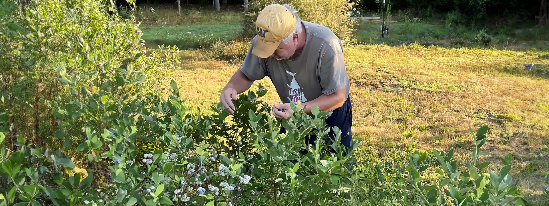 Blackberry Creek - Maine Farm Fresh Products